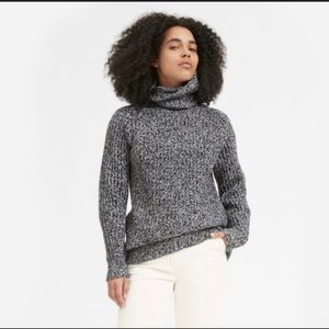 Everlane The Italian Soft Wool Rib Turtleneck